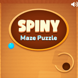 Spinny Maze Puzzle